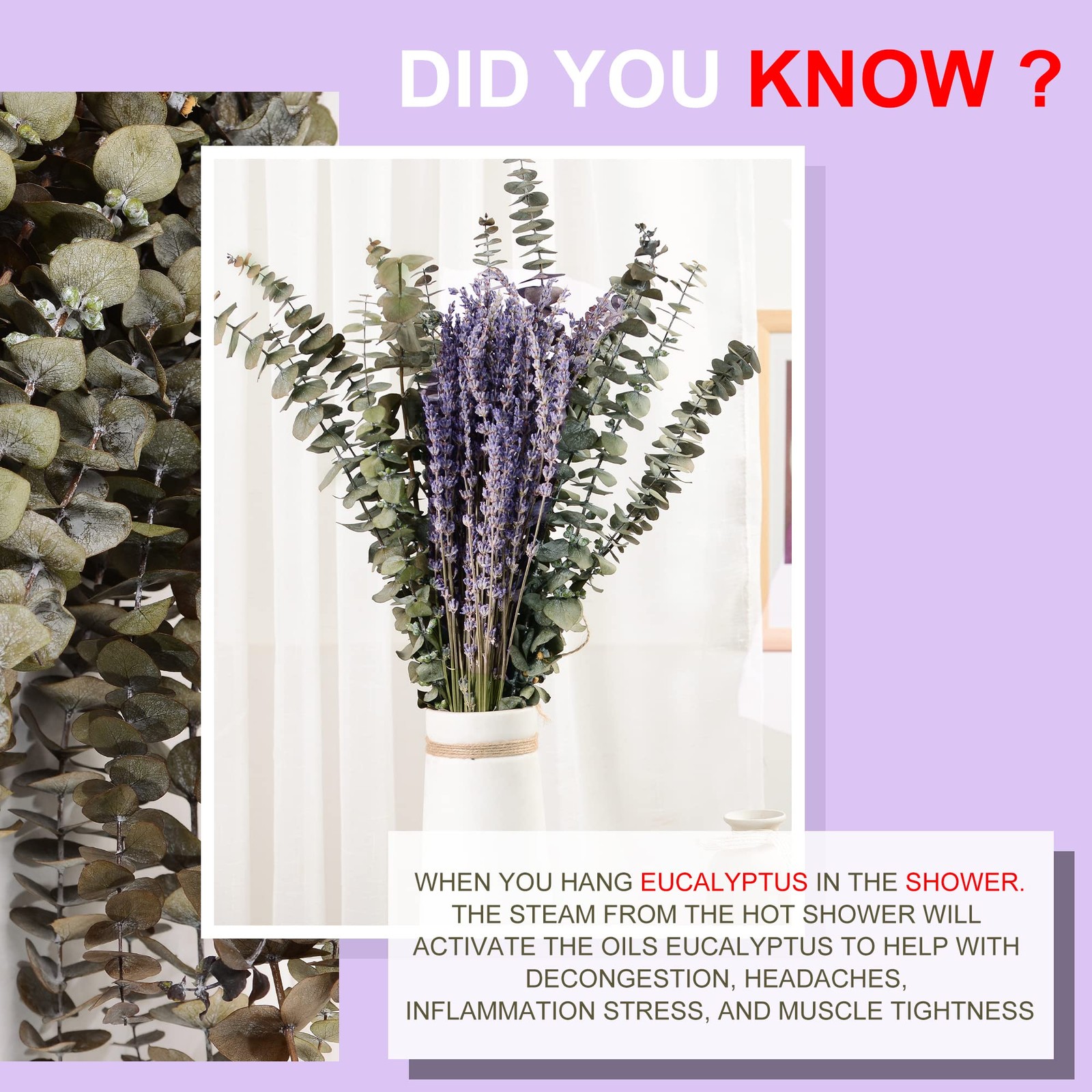 120 PCS Dried Eucalyptus Stems & Lavender Flowers Bundle for Shower 17” Natu…