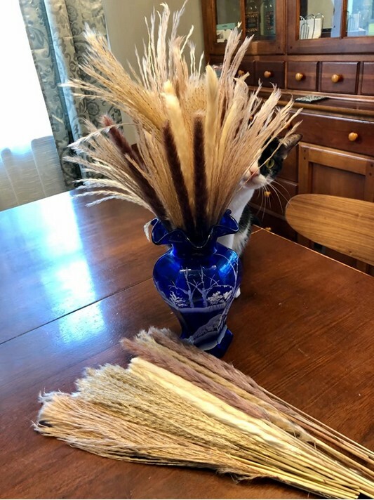 80Pcs Natural Dried Pampas Grass Reed Flower Bunch Xmas Wedding Valentines Gift