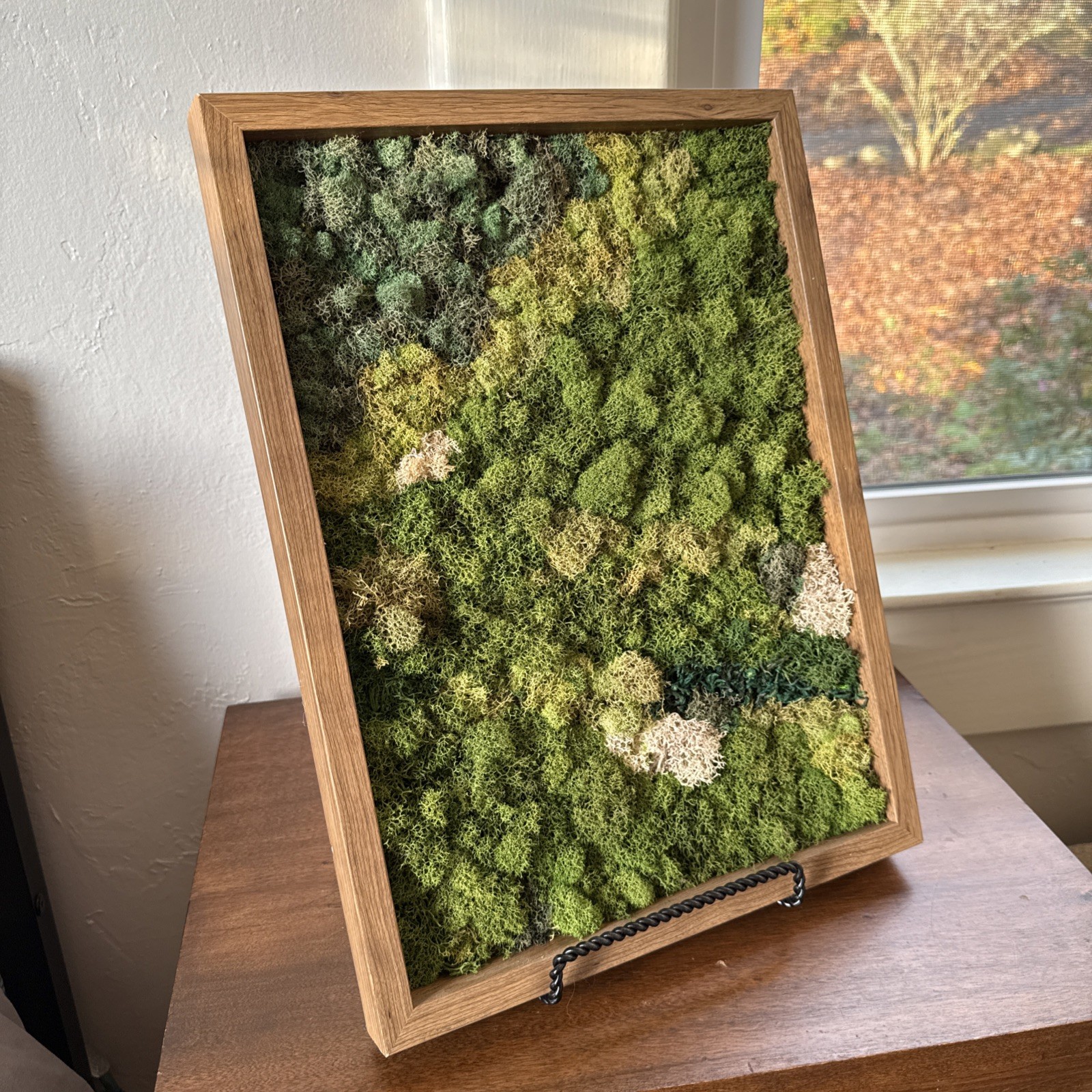 Preserved Moss Wall Art, Handmade, Wood Framed