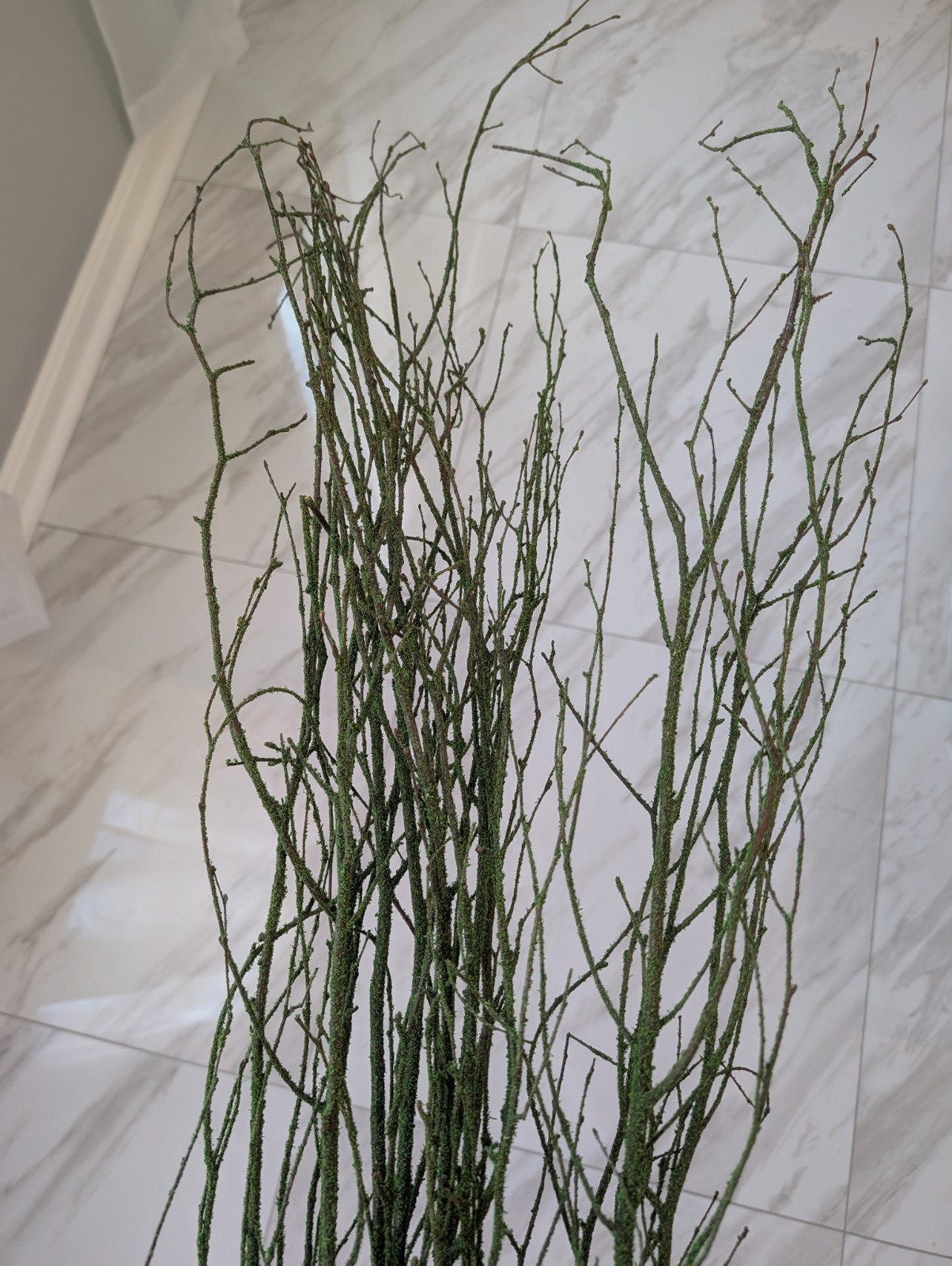 47in Green Coated Reeds Bundle x10 Branches