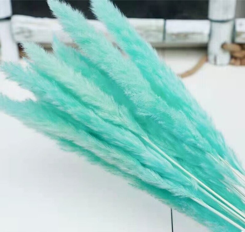 15Pcs Pampas Grass Wedding Home Decor 50cm Stems Real Dry Flower Pantas Dried