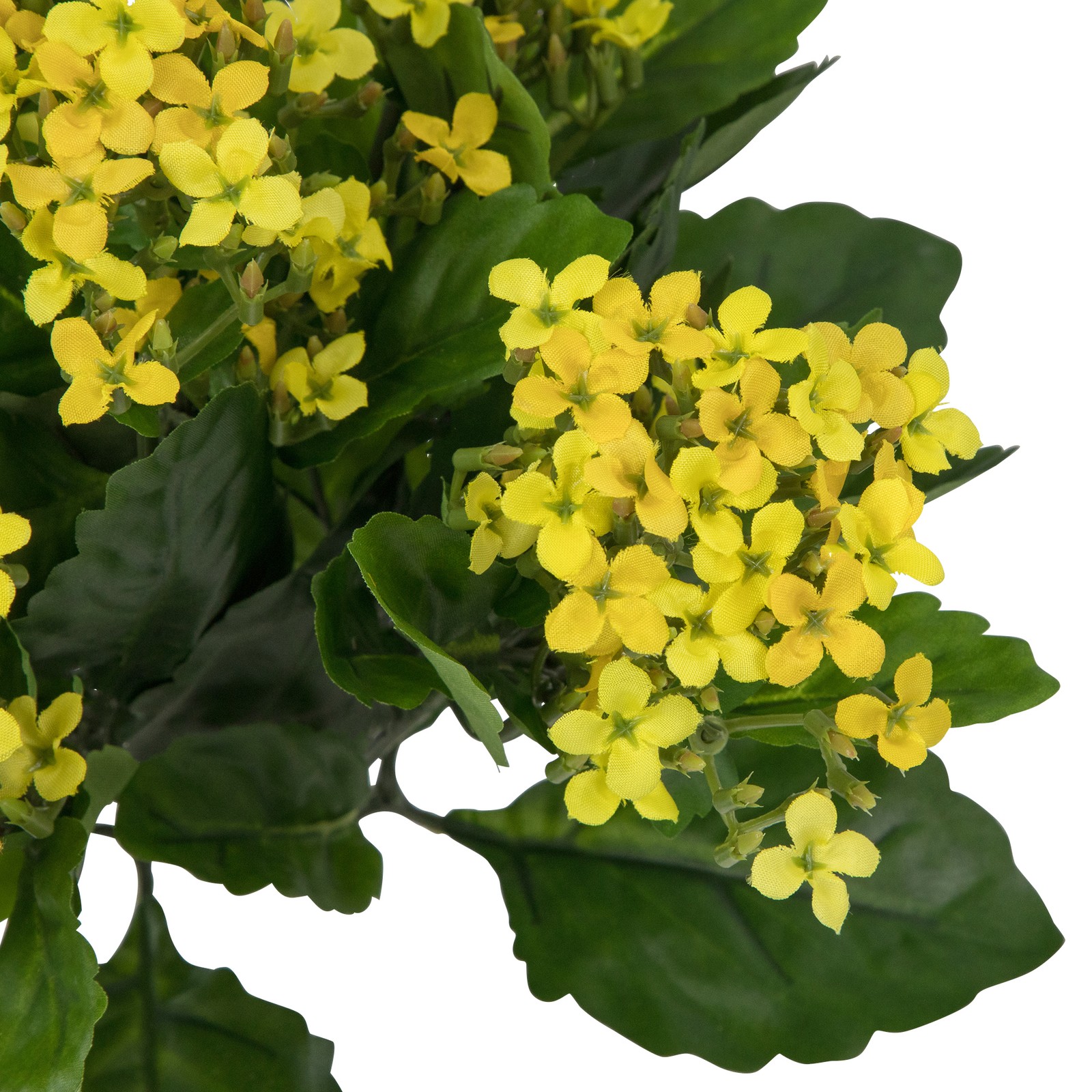13.5″ Kalanchoe Artificial Floral Bush