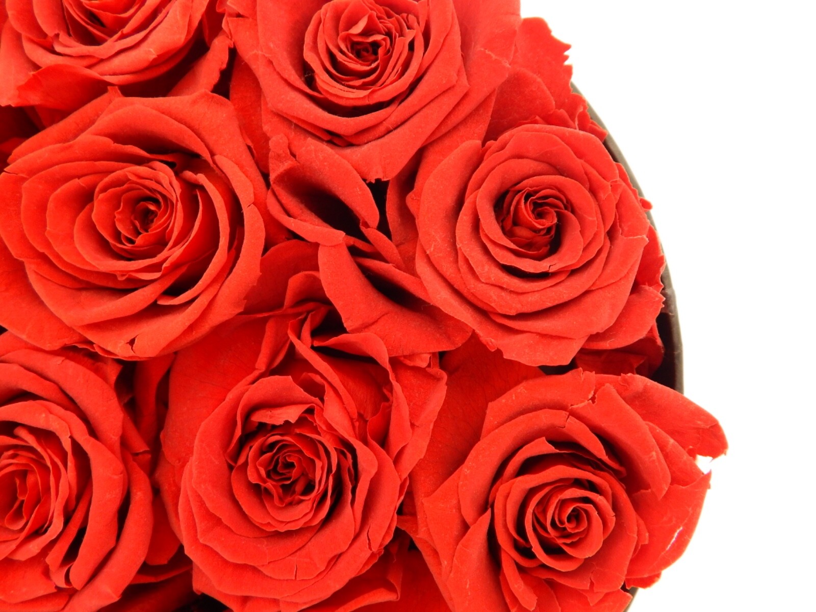 VLove® Forever Preserved Roses in a Box Real Forever Flowers Eternal Rose Red