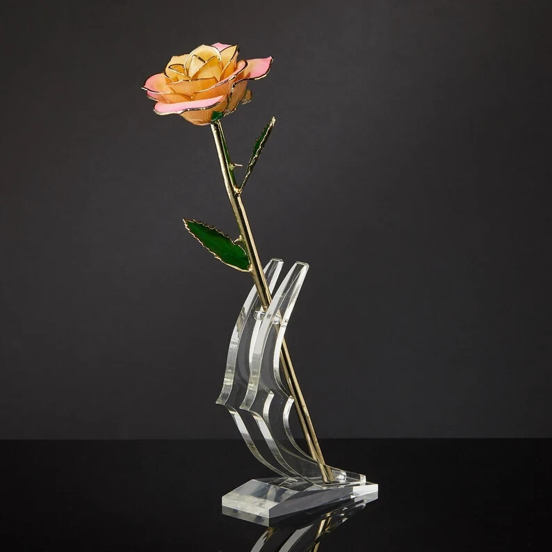 Daya- Forever real preserve rose dipped in gold 24k (Cream/Pink)