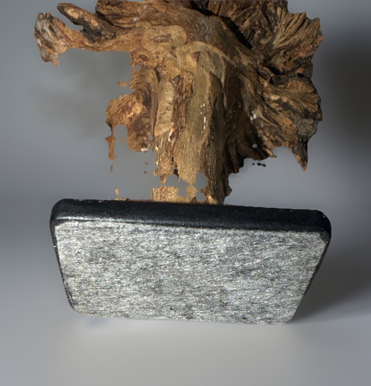 Rare Guatemala Wooden Tree Flower / Tree Ear on Iron Stand.