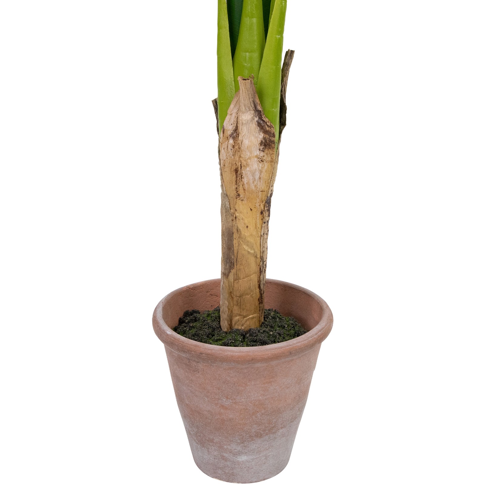 Northlight 4′ Artificial Tropical Banana Tree in a Clay Pot