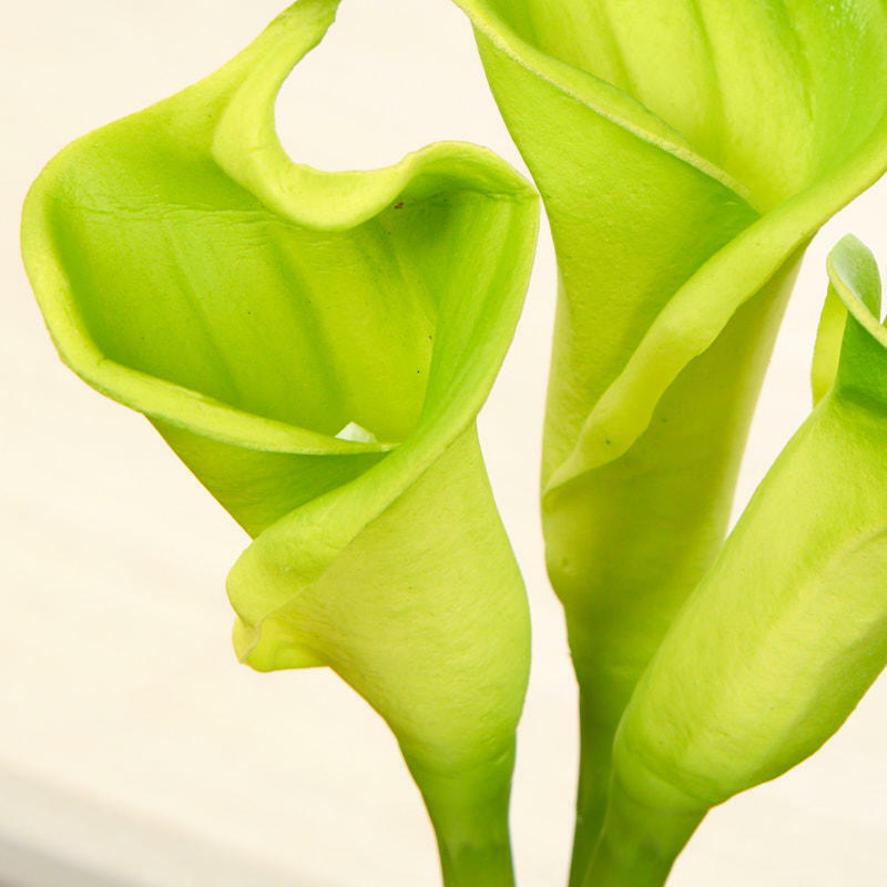 Factory Direct Craft Artificial Green Calla Lily Bundle | for Indoor Decor