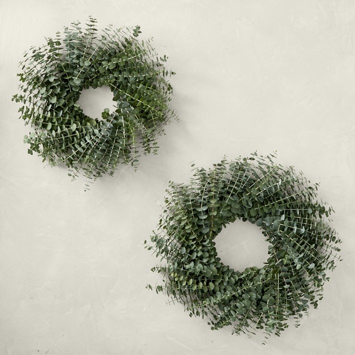 Baby Eucalyptus Door Wreath-Williams Sonoma|39057