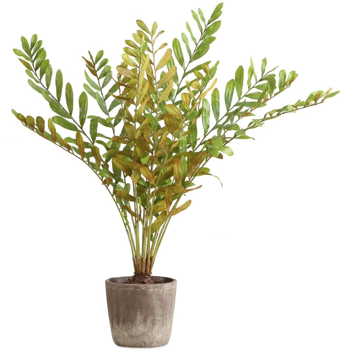 Uttermost 60243 Zamia Green and Concrete Palm Acccent Planter