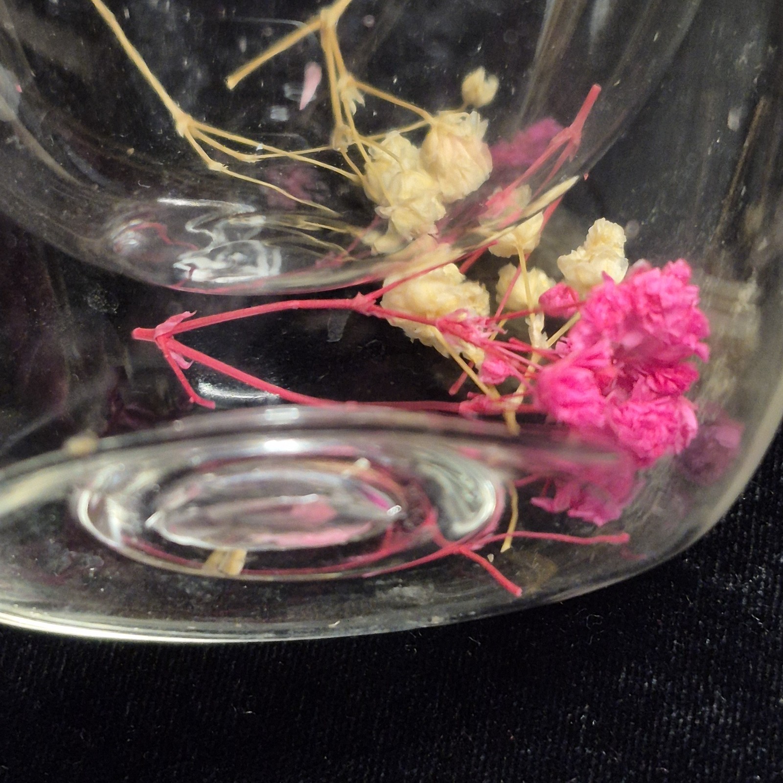 Dried Flower Glass Mug – Double Wall Clear Coffee Tea Cup – Botanical Floral