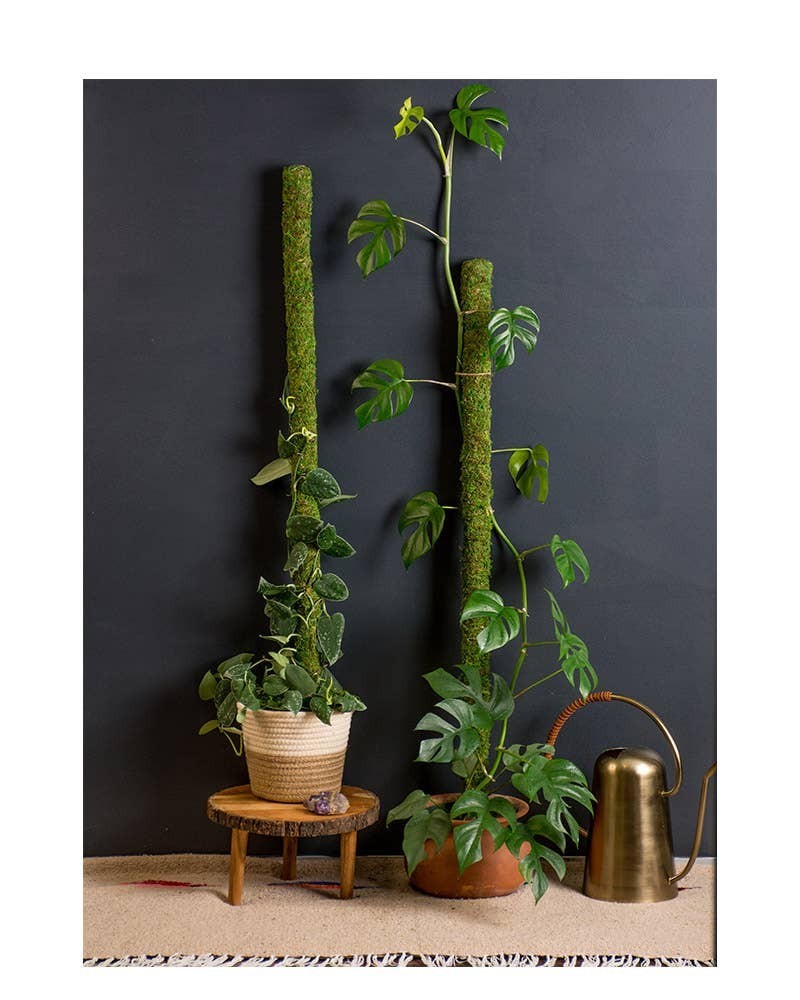 SuperMoss 24″ Moss Pole Forest Green Plant Support Monstera Philodendron