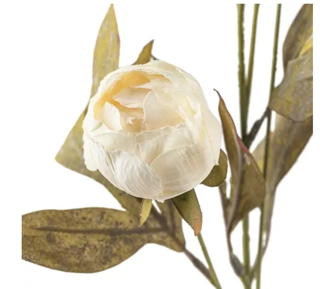 Brand New Viral Michael’s Ashland 28″ Cream Peony Stem – Set of 6