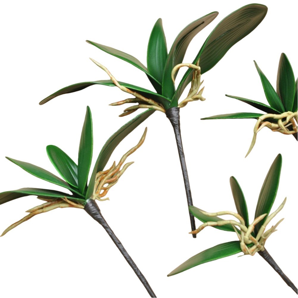 2pcs Simulated Phalaenopsis Orchid Leaves (PU Phalaenopsis Orchid Leaves)