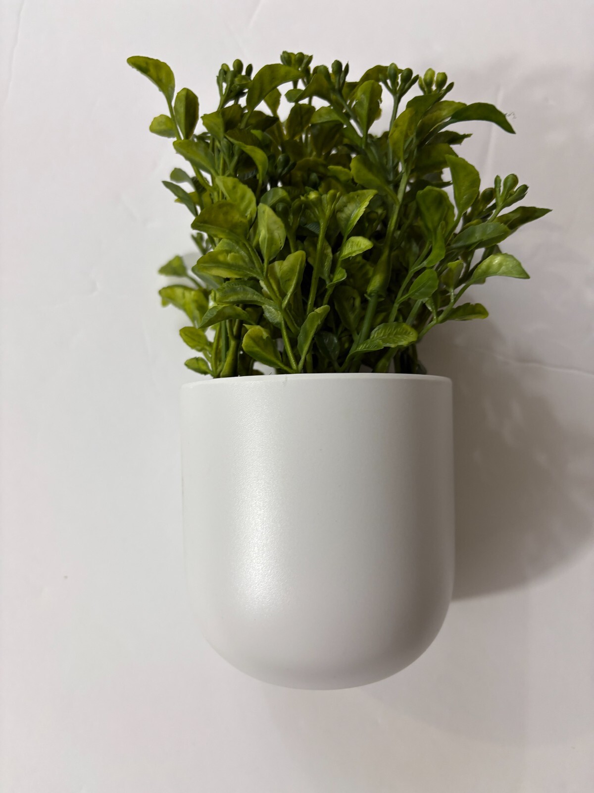 Box of 6 – Threshold Artificial Plants – 8″ Mini Boxwood Green / White Pot -NEW