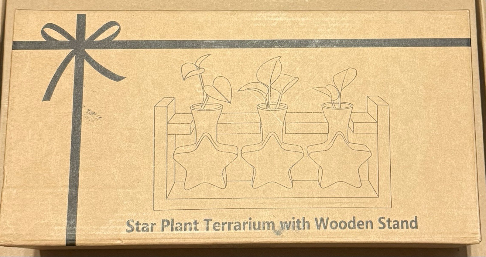 Star Plant Terrarium with Wooden Stand Planter 3 Bulb Glass Vase Nacome NEW!!