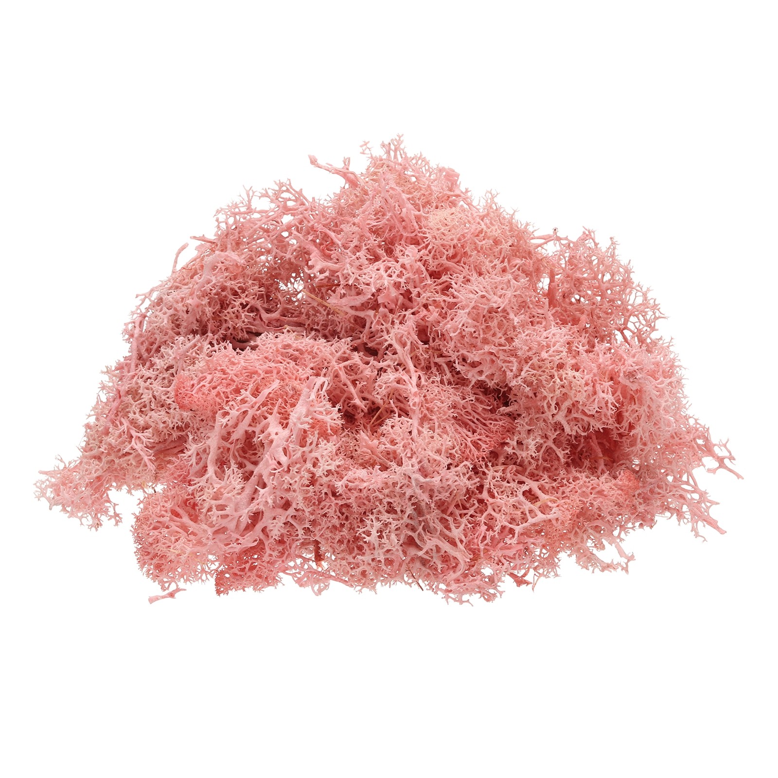 Preserved Reindeer Moss, 4 OZ Fake Moss for Crafts (Light Pink)