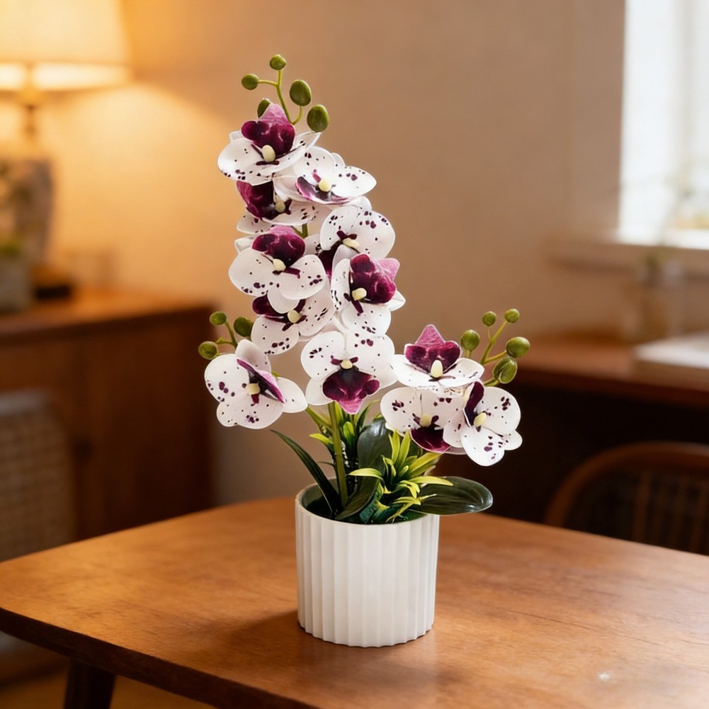 Plastic Phalaenopsis Potted Plant for Bathroom Window Display 33 8 7cm