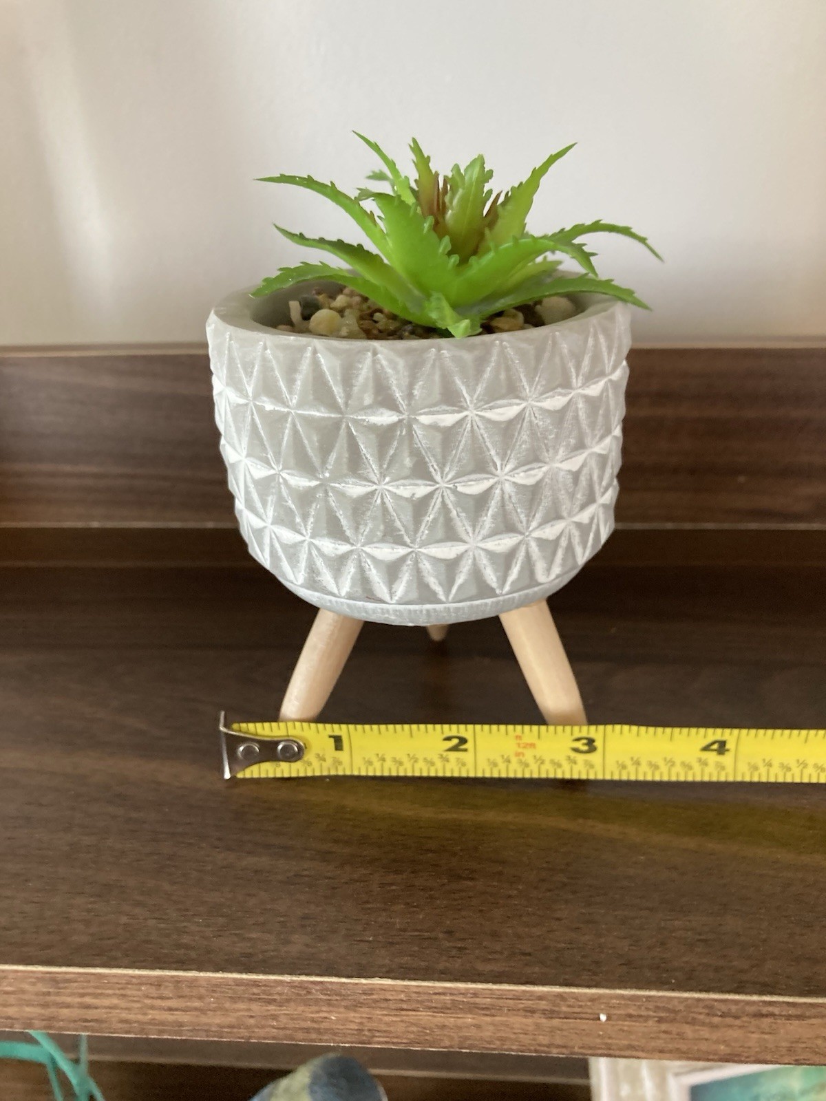 Succulent Tabletop Decor