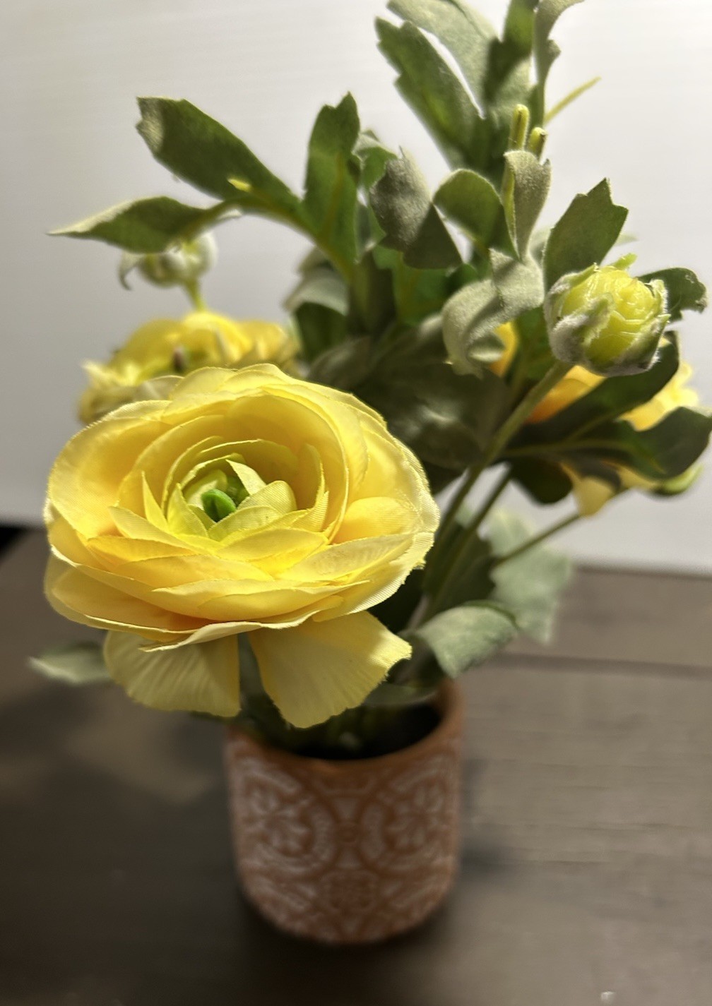 Yellow Ranunculus Flowers In Patterned, Terra-Cotta Pot, Sage, Green Foliage