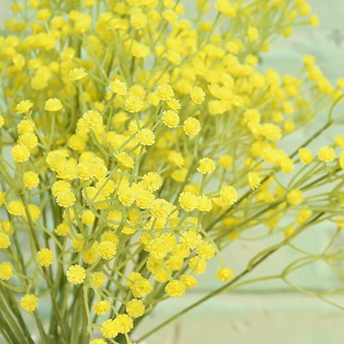 Baby’s Breath Pack of 12 Stems 18in Yellow