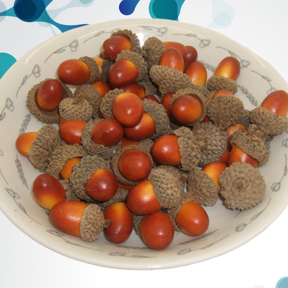 Realistic Fake Acorn Ornament Set of 50 for Home Decoration and Photo Props