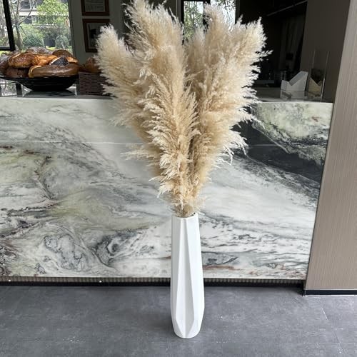 55″ inch Scarcity Natural Pampas Grass Decor Tall, pompas Grass, Tall Pampas