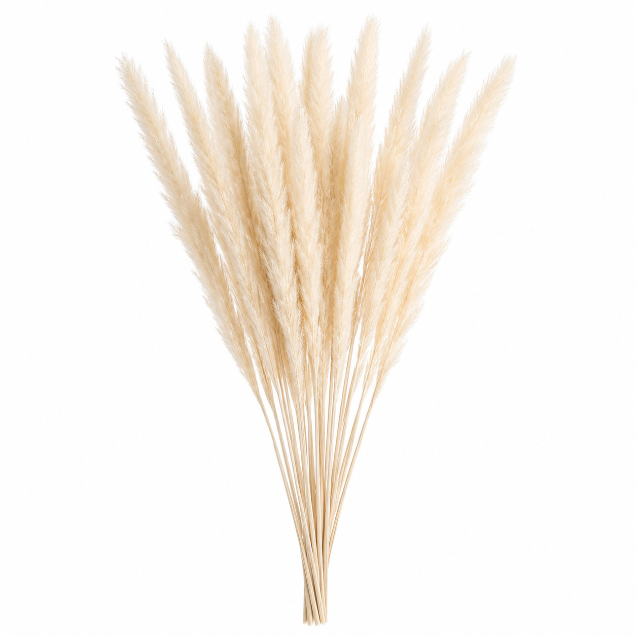 15 Stems Natural Dried White Pampas Grass Boho Wedding Home Decor 24in