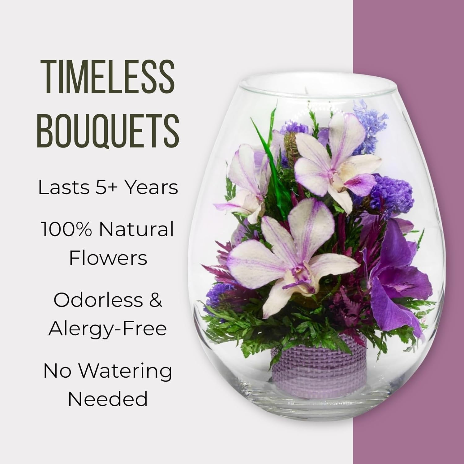 Fiora Flower Elegant Orchid Arrangement in Glass Vase Preserved Real Orchids L