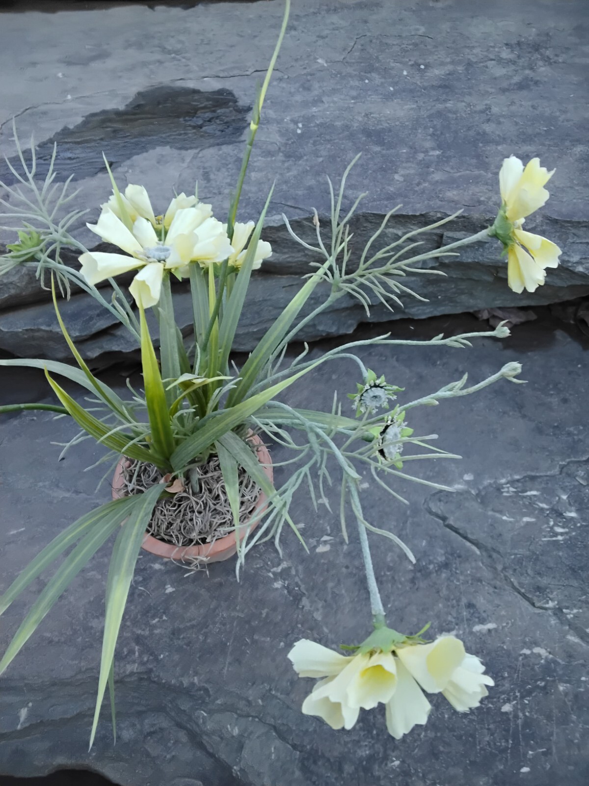 Faux Yellow Spring Flower Plant in Terra Cotta Pot, Daisy, Toplis