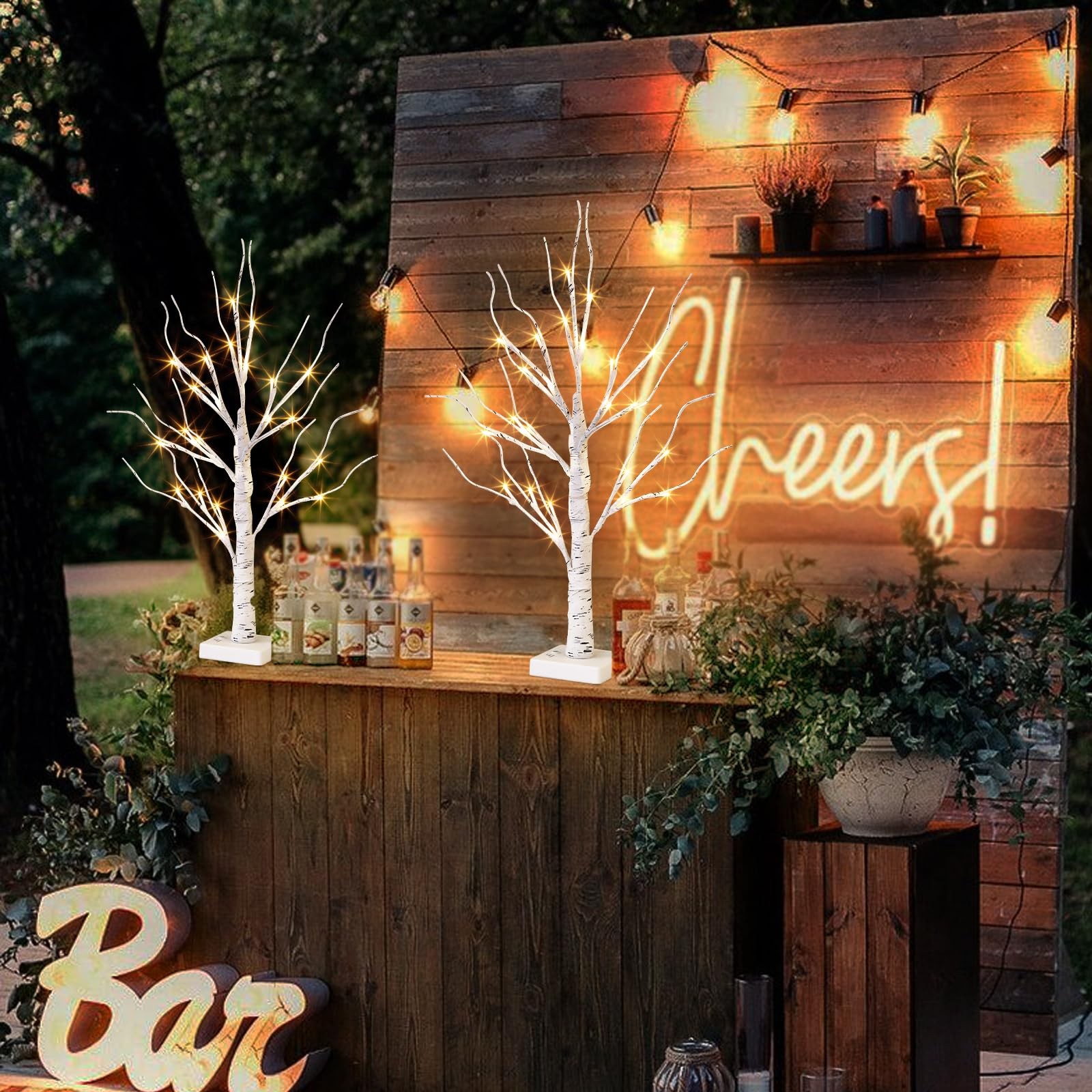 White Birch Tree with LED Lights – Set of 2, Tabletop Tree with Timer, Christ…