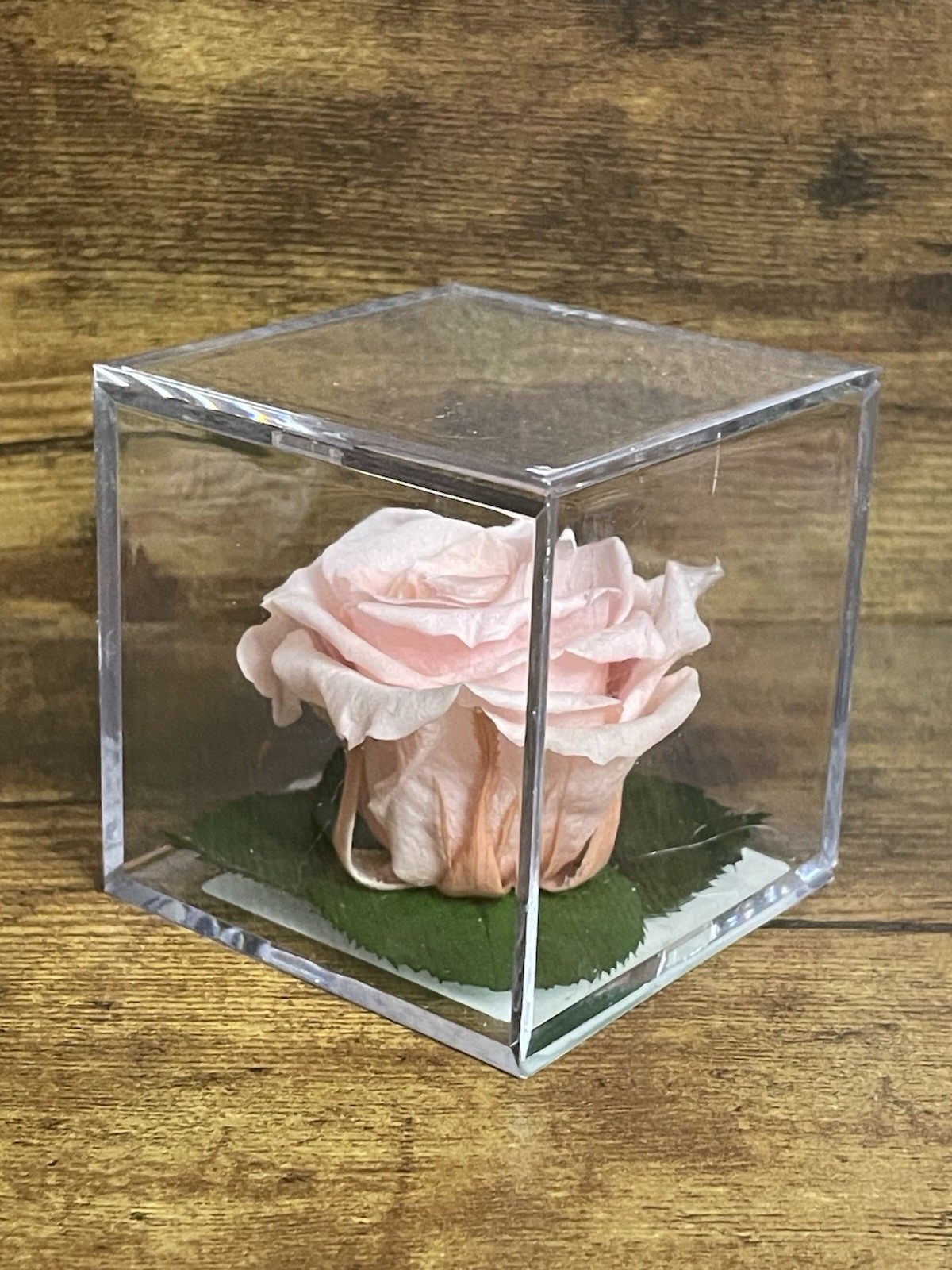 Verdissimo Preserved Rose Head in a Clear Acrylic Cube Light Pink Standard Size