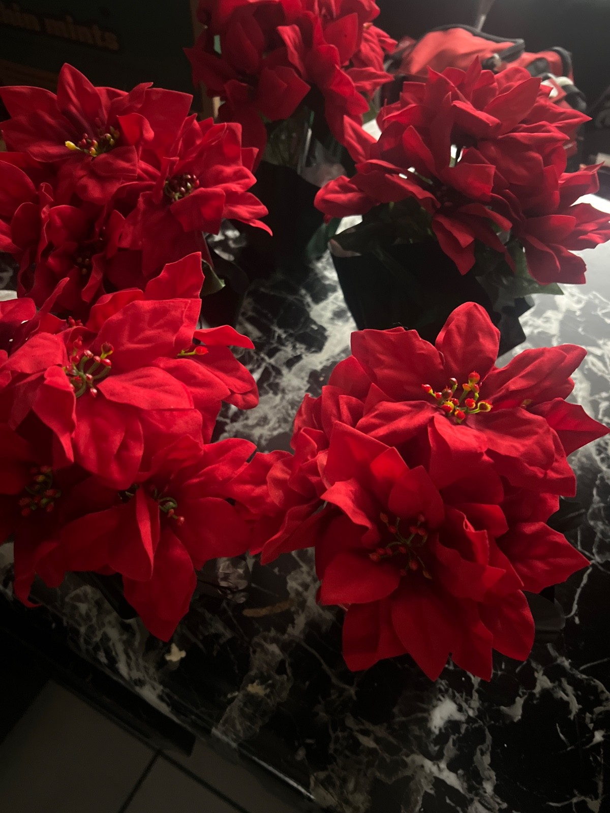 faux poinsettia plant