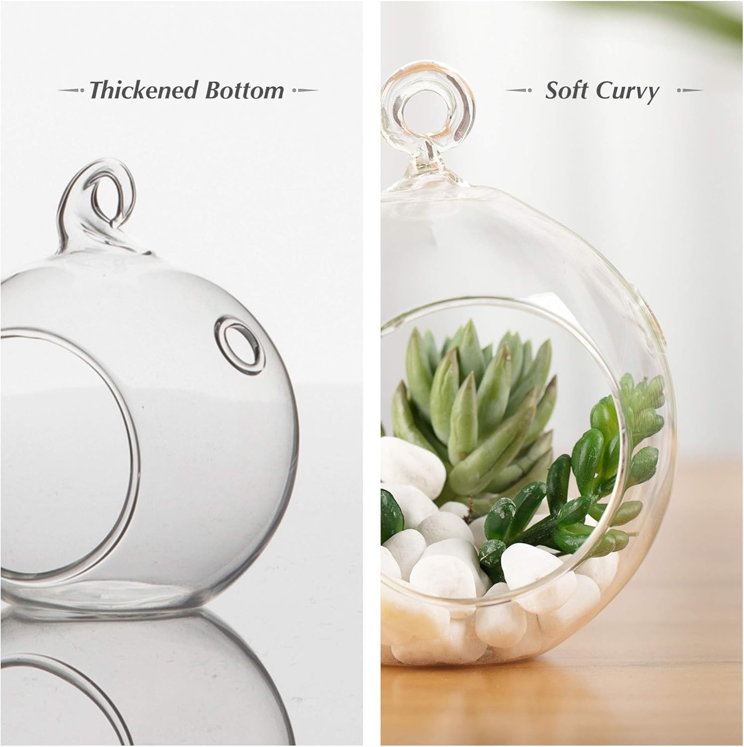 Versatile 6″ Glass Terrarium Globe – Perfect for Succulents and Candles