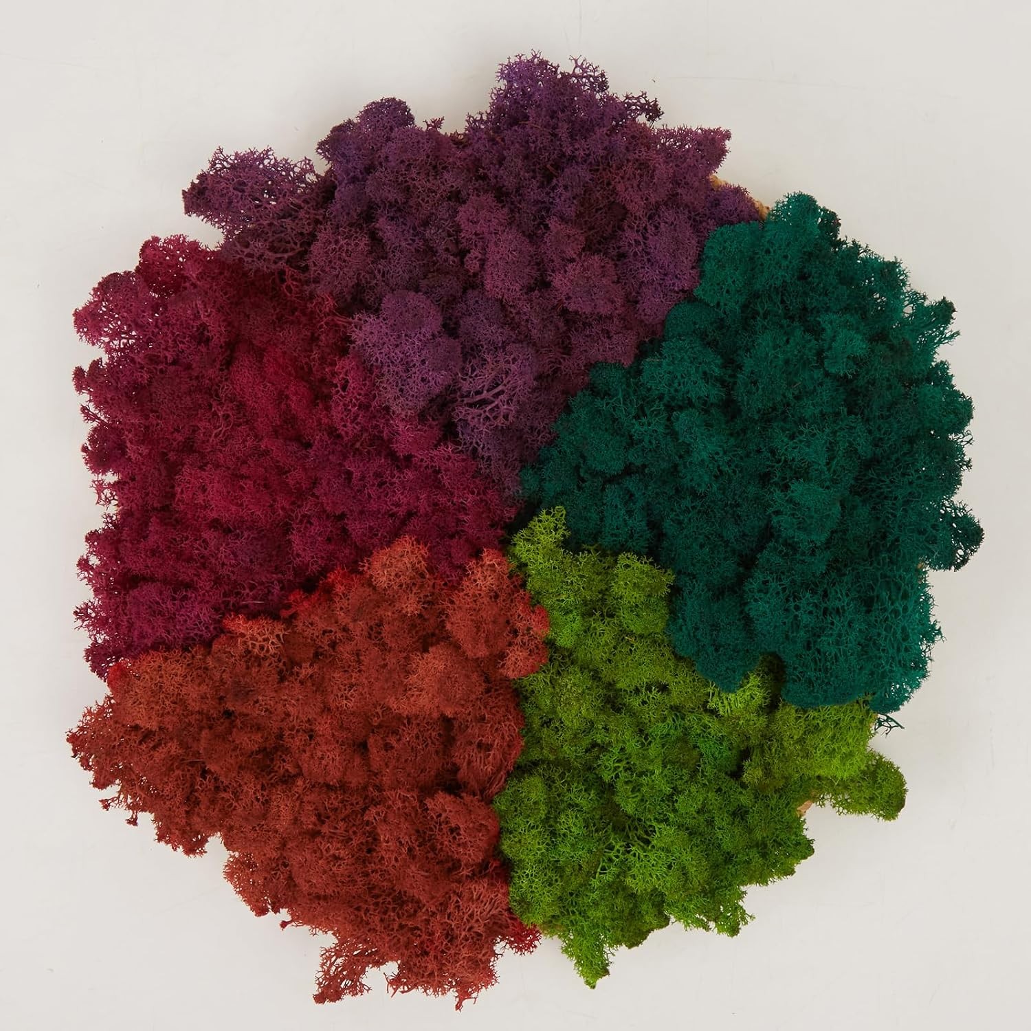 Natural Reindeer Moss DIY Kit 1 lb Color Mix Green Wall Decor Artificial