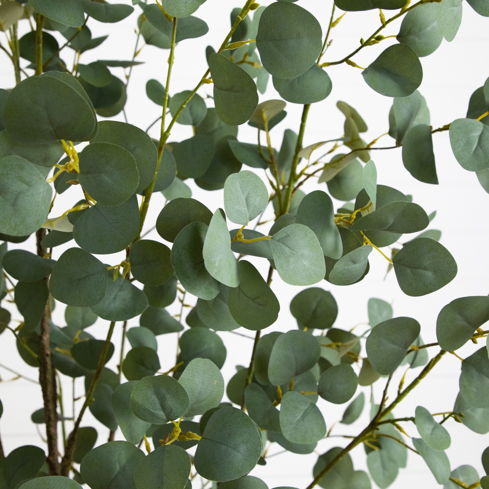 7’ Greco Artificial Eucalyptus Tree Home Decor. Retail $329