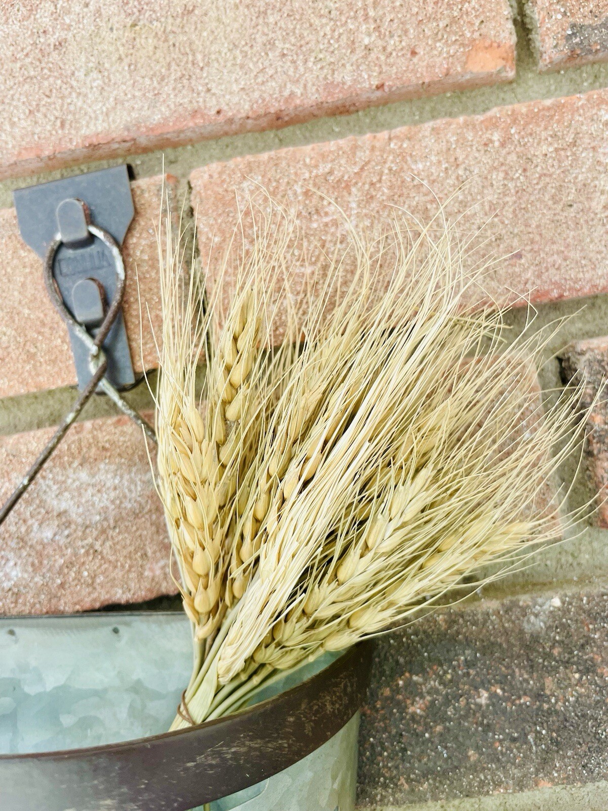 Wheat Bundle Bouquet