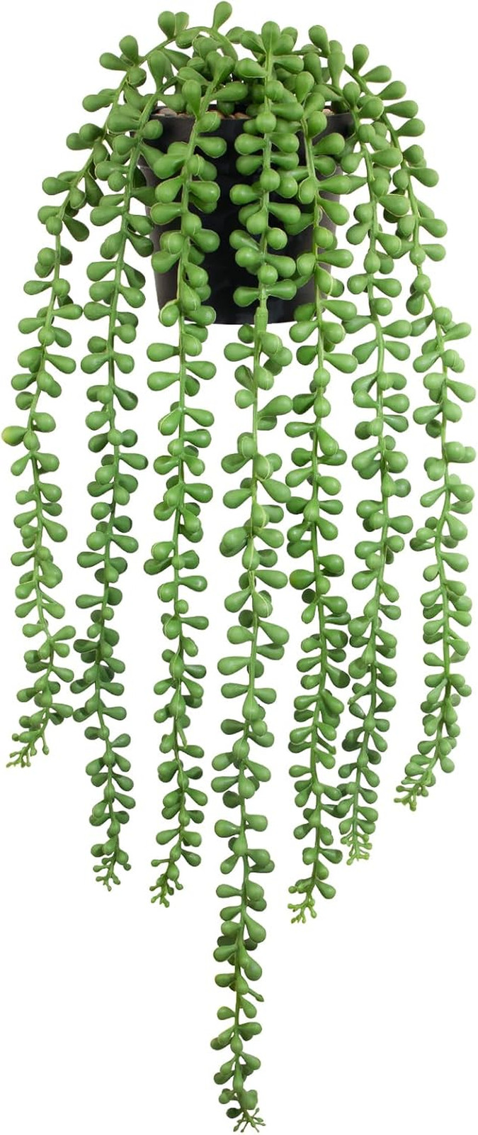 Realistic Artificial String of Pearls Plant – Faux Hanging Succulent Trailing Pl