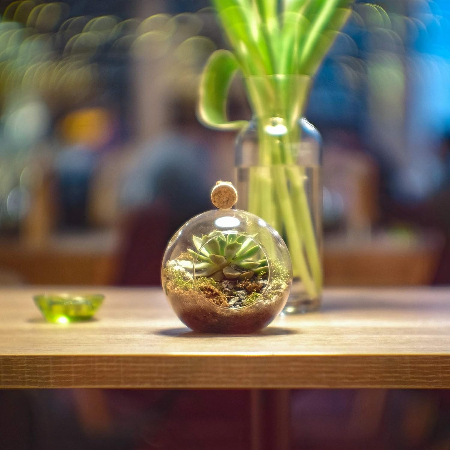 Versatile 6″ Glass Terrarium Globe – Perfect for Succulents and Candles