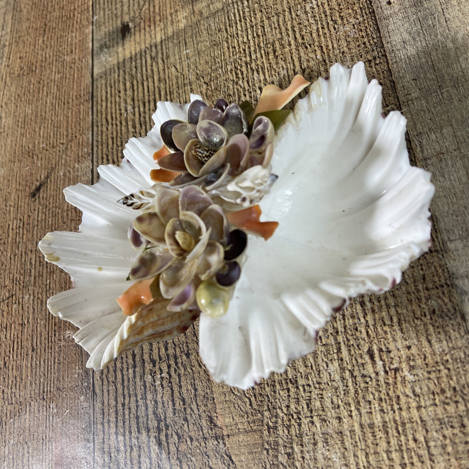 Handcrafter Shell floral motif Dish white peach green tones