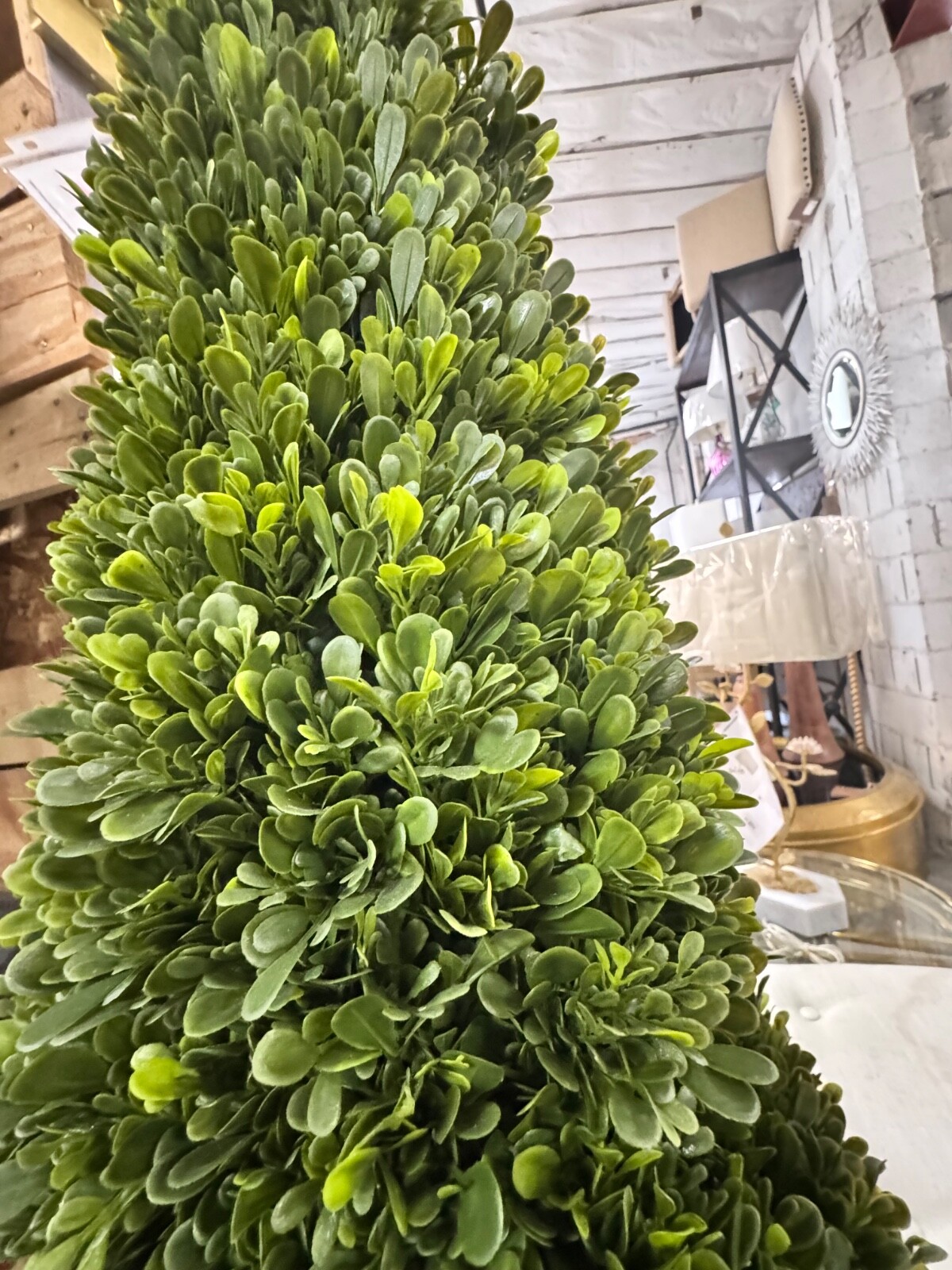 Faux Boxwood Cone Plant in Concrete Pot, 67″T
