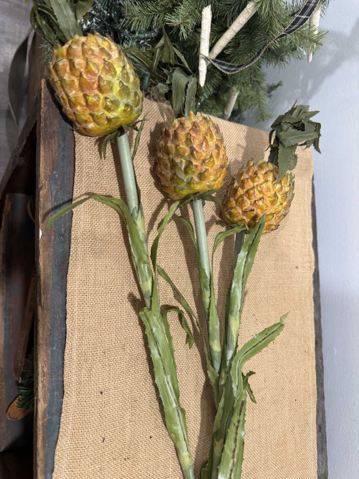 Primitive Pineapple Stems 28”