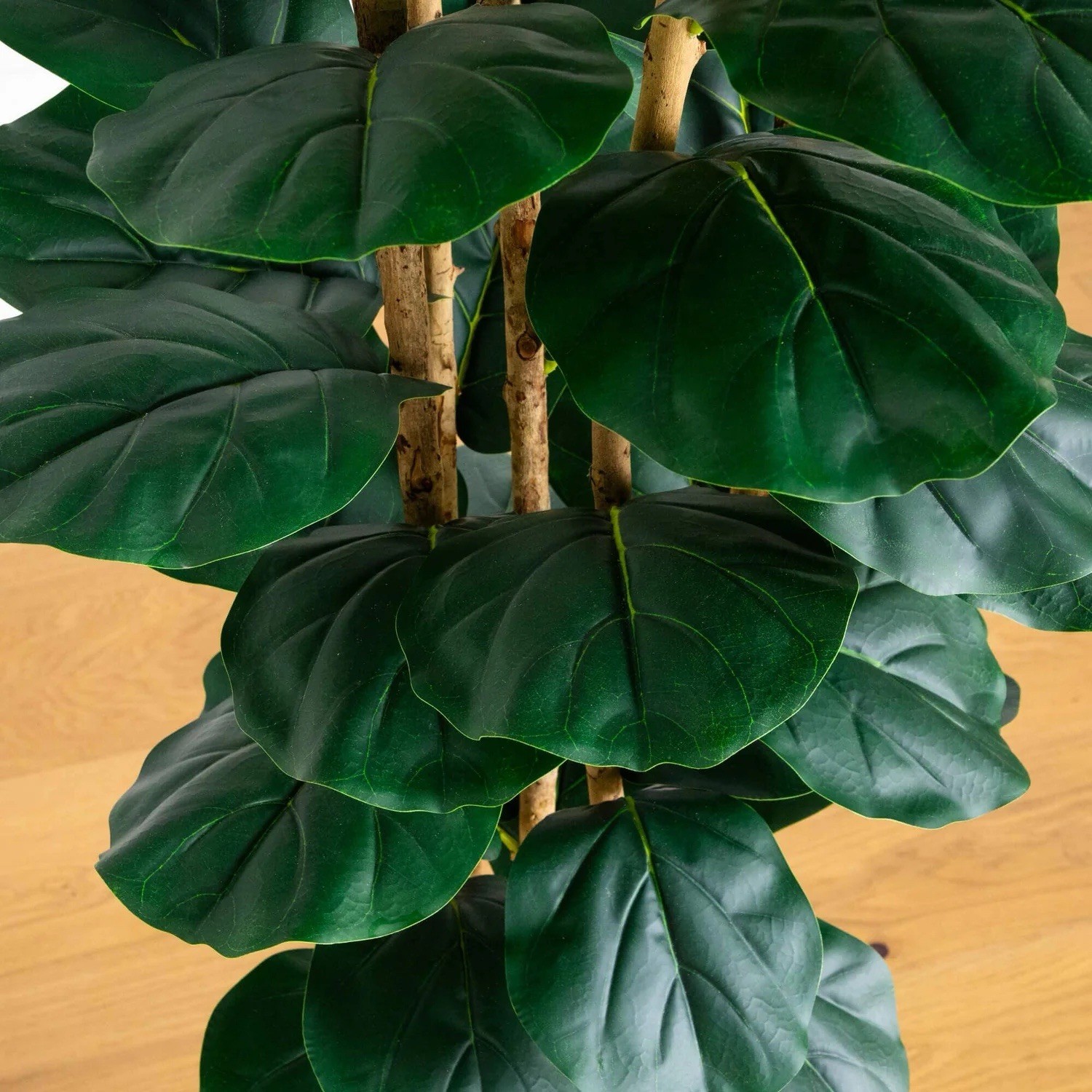 8 Ft. Artificial Fiddle Leaf Tree in Decorative White Planter. Retail $299