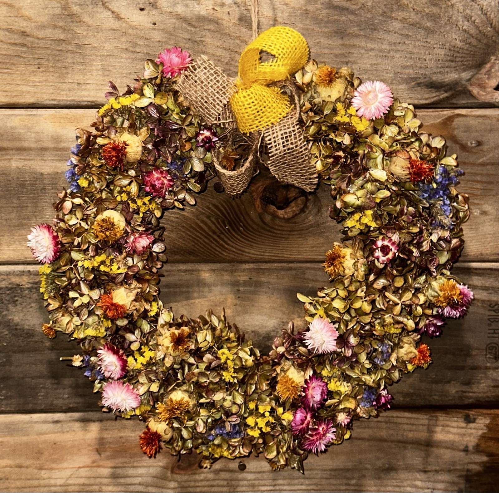 12DRIED Hydrangeas Straw Flowers Bee Balm and Status Designed. Hand made.