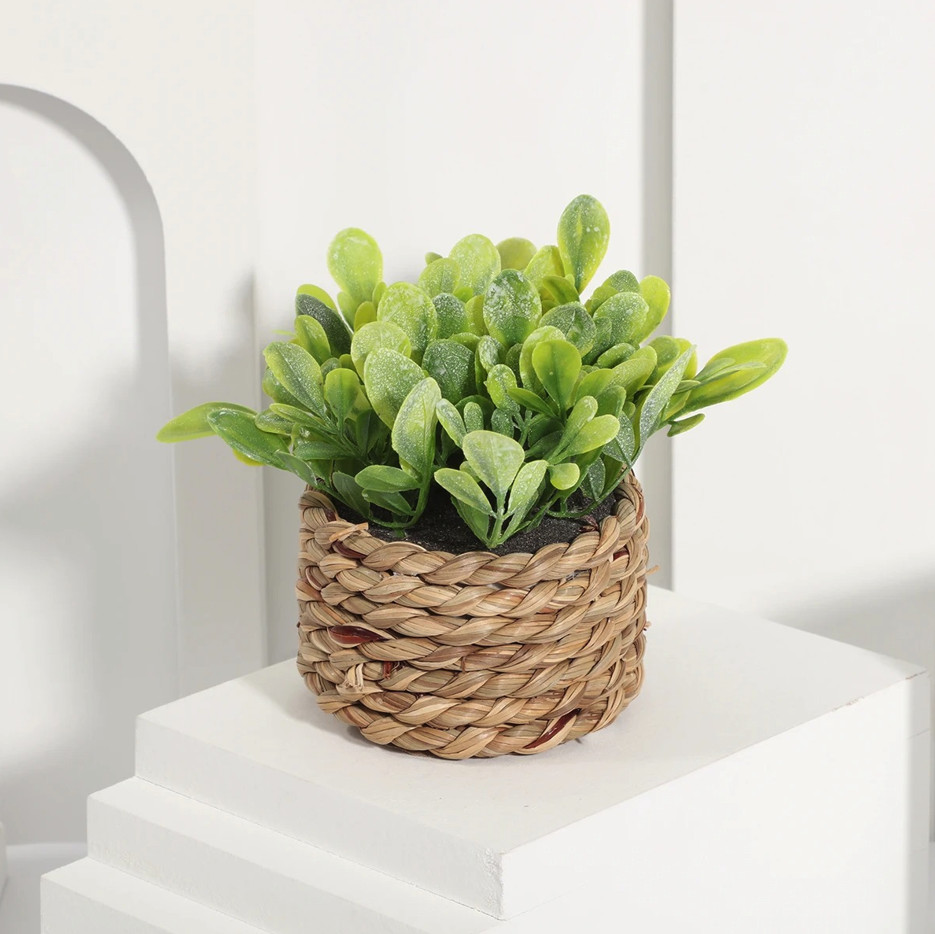 1pc Artificial Eucalyptus Grass Small Potted Plant 11cm Home Decor – NEW