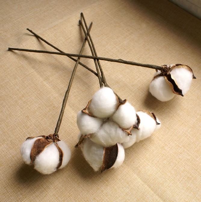 White Dried Cotton Flower Stems Natural for Wedding and Home Photography