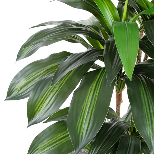 Artificial Dracaena Tree with White Tall Planter, 5ft Tall Dracaena Plant