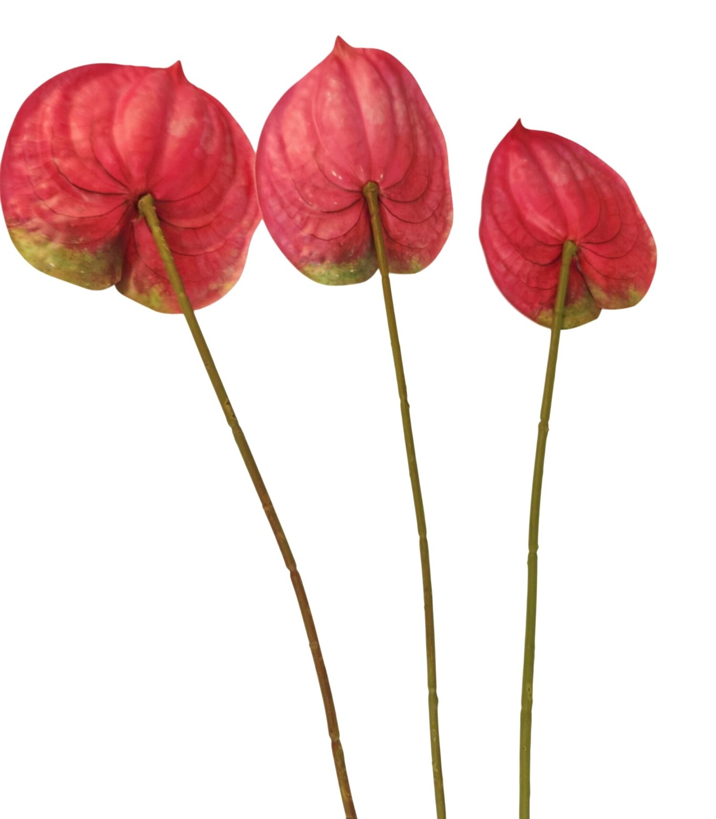 Pink Artificial Anthurium Stems Set of 3, 23 Inch Faux Modern Tropical Decor