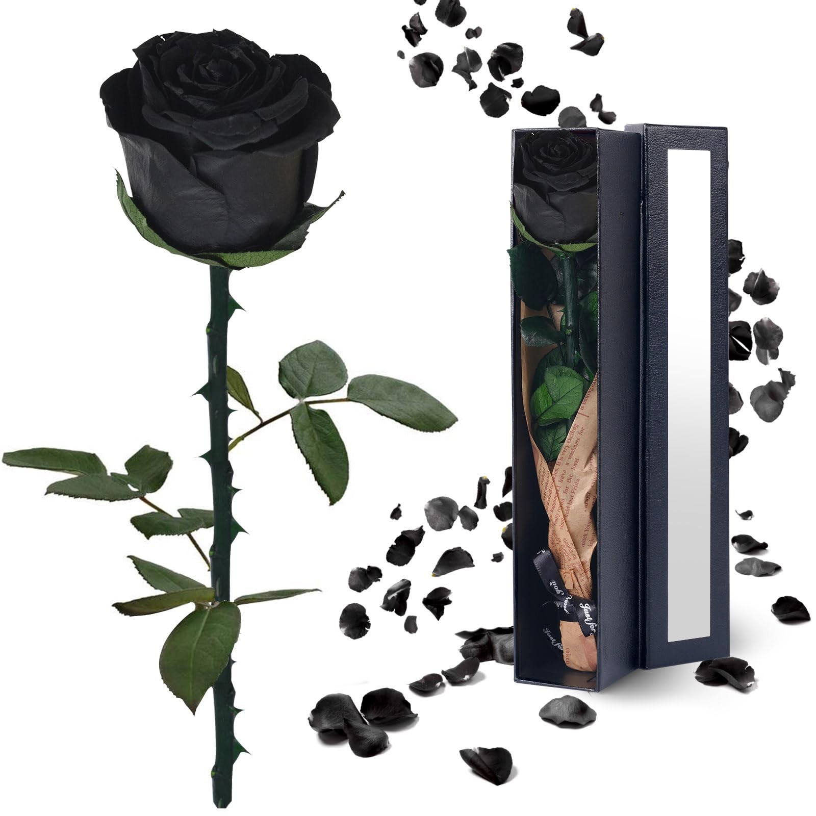 Black Preserved Rose Flower Gift for Women, Birthday, Wedding, Girlfriend, Mom