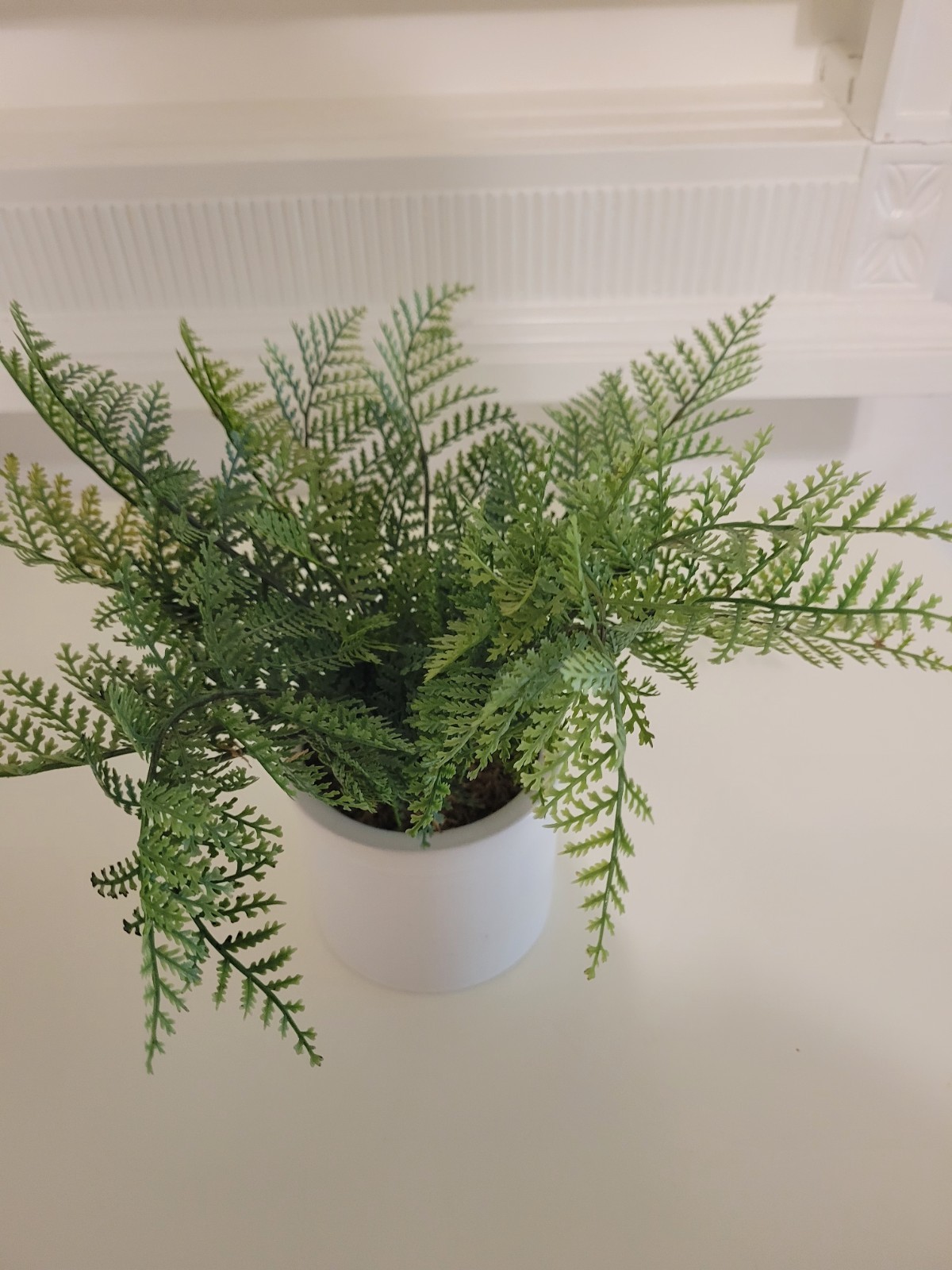 Threshold Artificial Fern Tabletop Arrangement in White Pot, Green/White 5 x 3 .