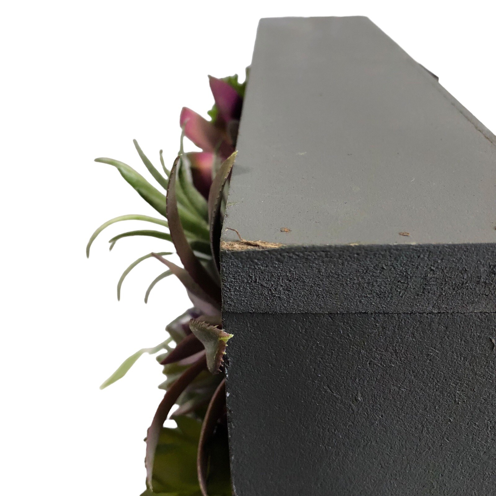 WALL OF FAUX SUCCULENT Cactus in Gray Wood Box Decor Display 12x12x3 inches New